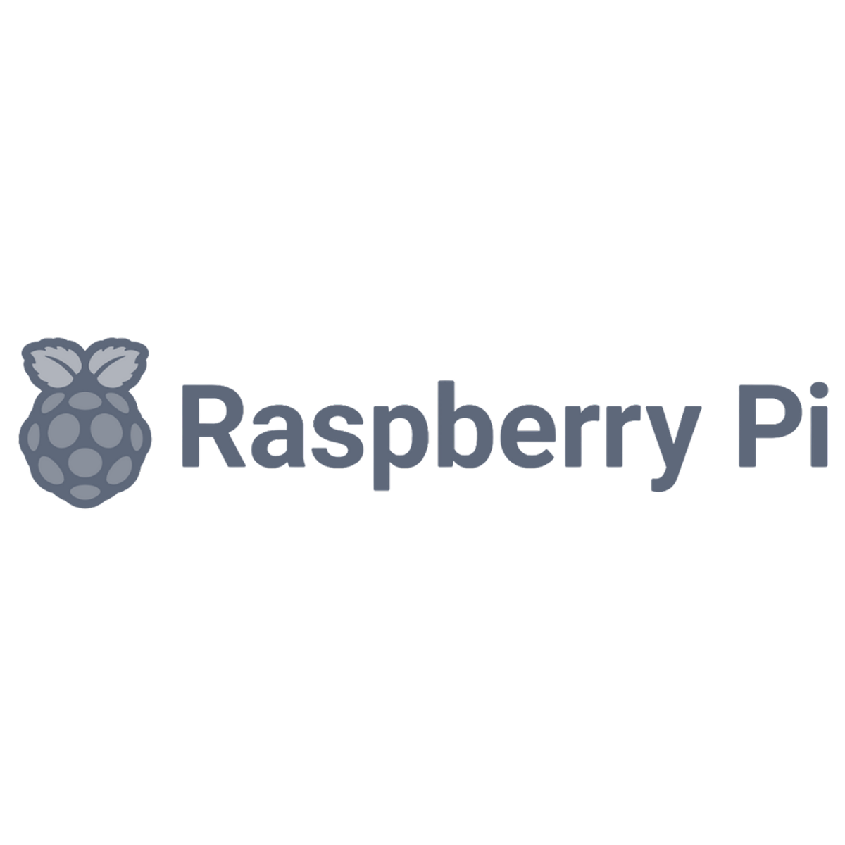 Raspberry Pi